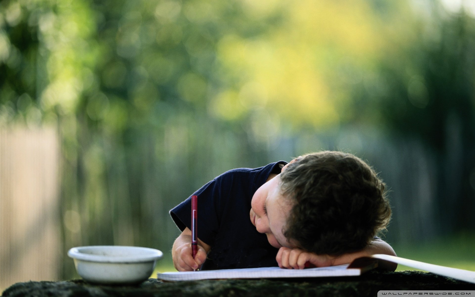 福州代怀生子助孕机构囊胚培养成功率多少